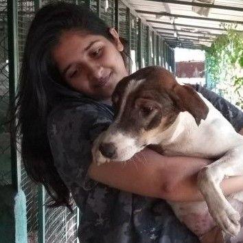 Neutering and Vaccinating Stray Animals