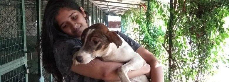 Neutering and Vaccinating Stray Animals